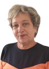 SIRLENE DO BAIRRO NOVO